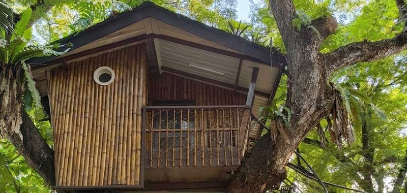 Pasonanca Tree House built into a century-old acacia tree