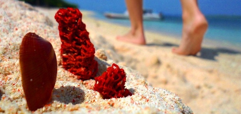 Close-up of pink sand at Sta. Cruz Island during a Pink Beach Zamboanga tour